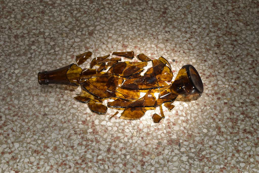 Craziest Excuses facts