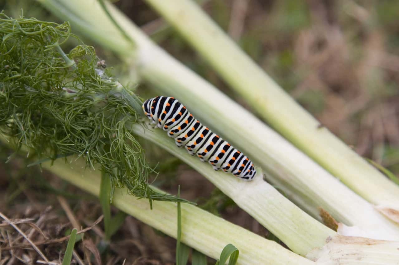 Unromantic Moments facts