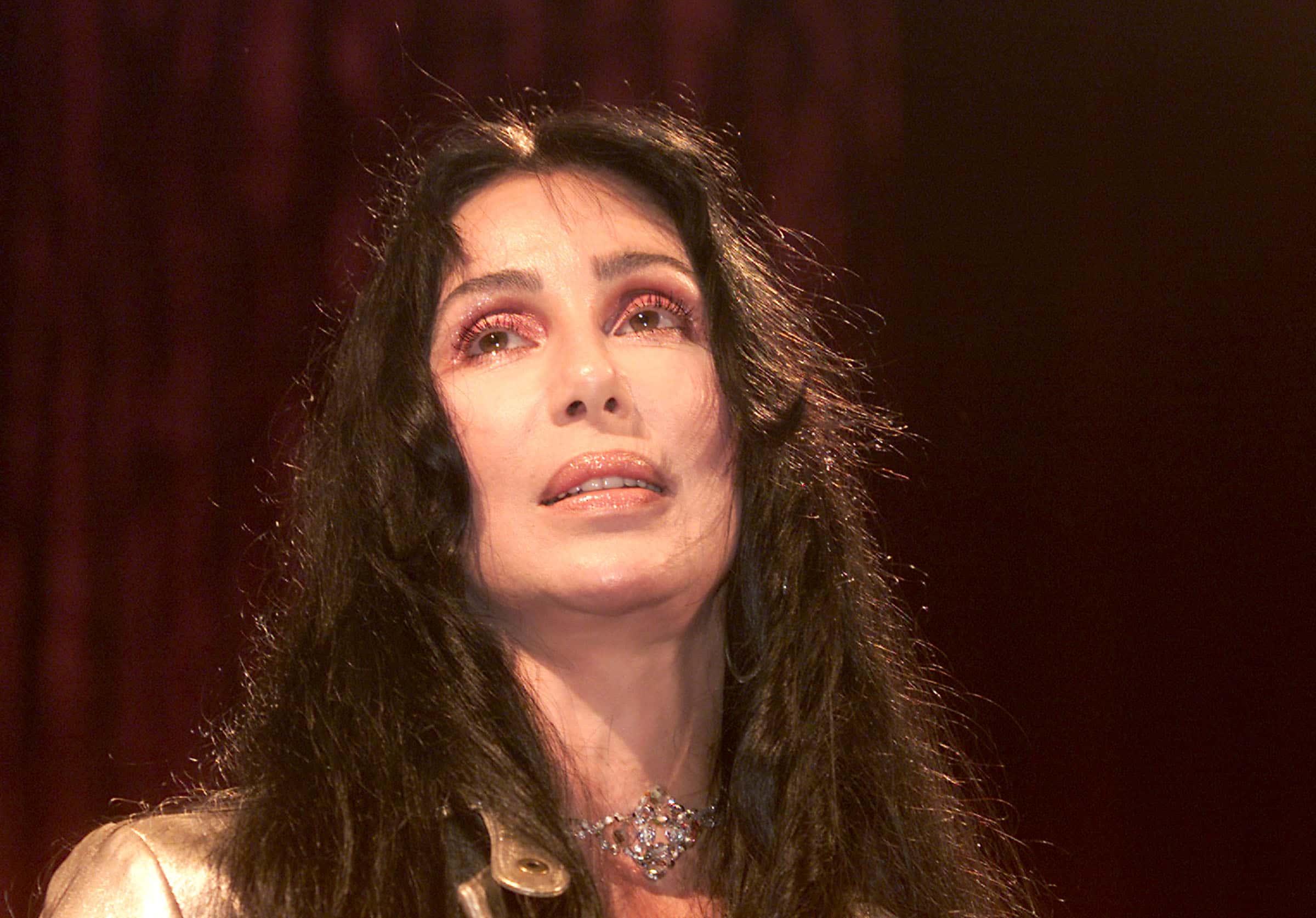 Cher received a 'Lucy' for HBO's If These Walls Could Talk