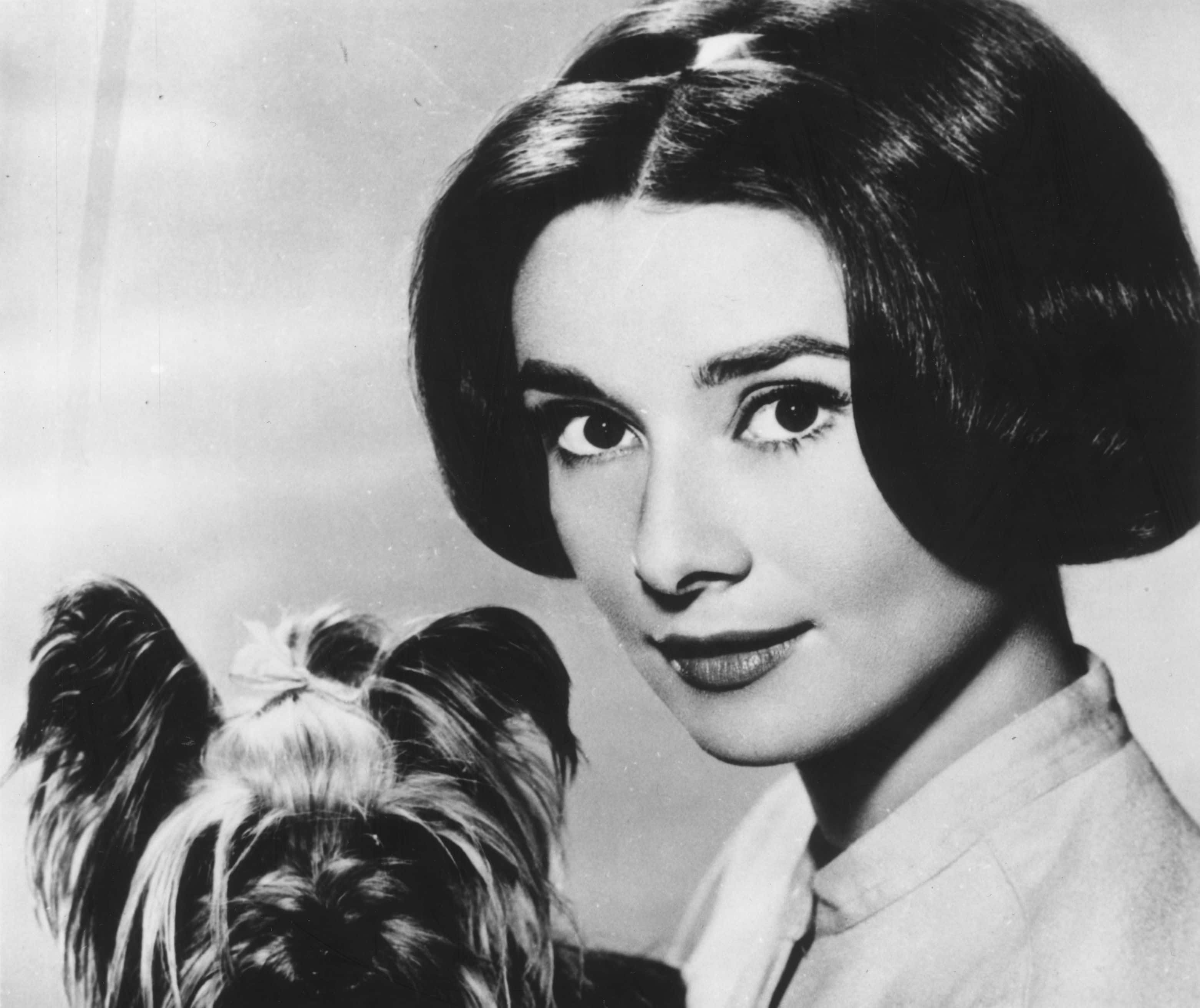 actress Audrey Hepburn