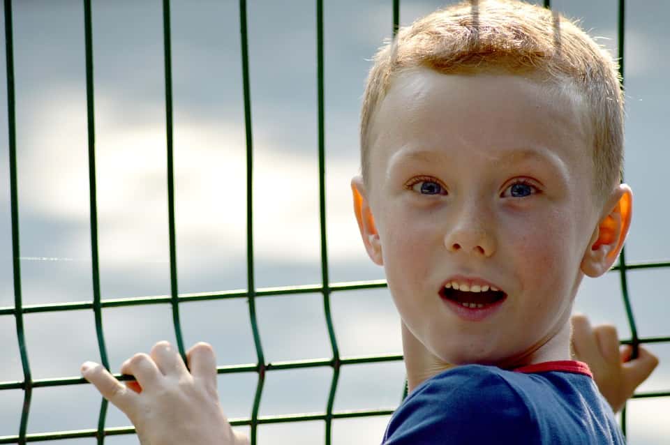 Question Reality Facts