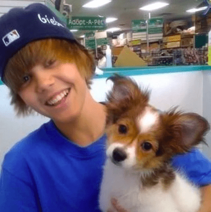 Screen Shot 2019-01-09 at 2.31.38 PM