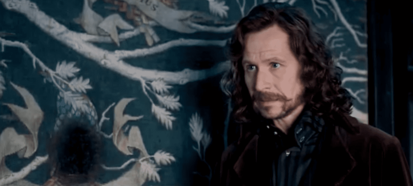 Wizarding families facts