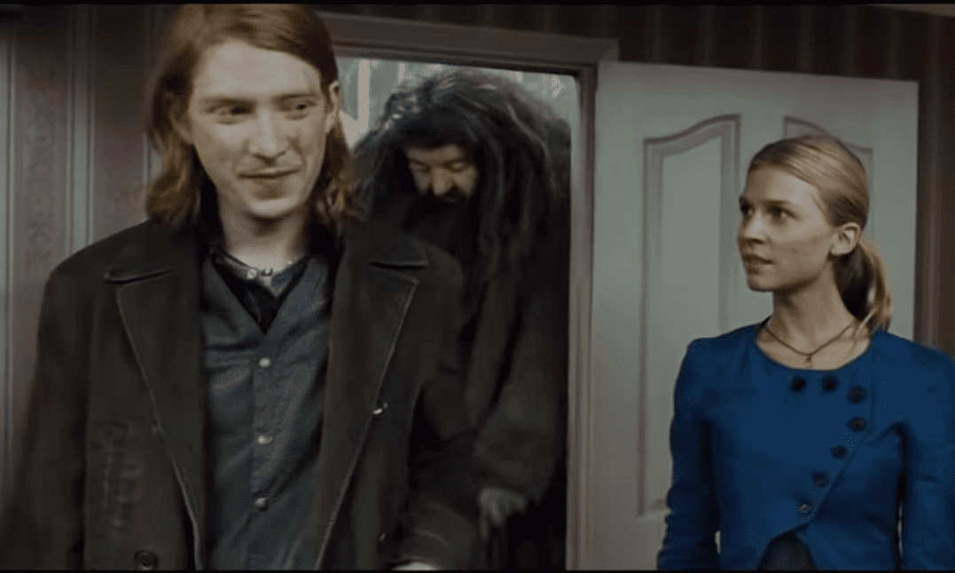 Wizarding families facts