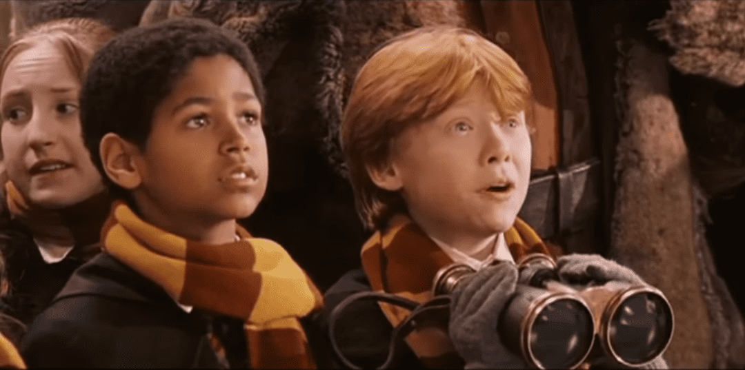 Wizarding families facts