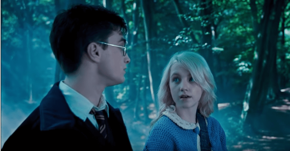 Wizarding families facts