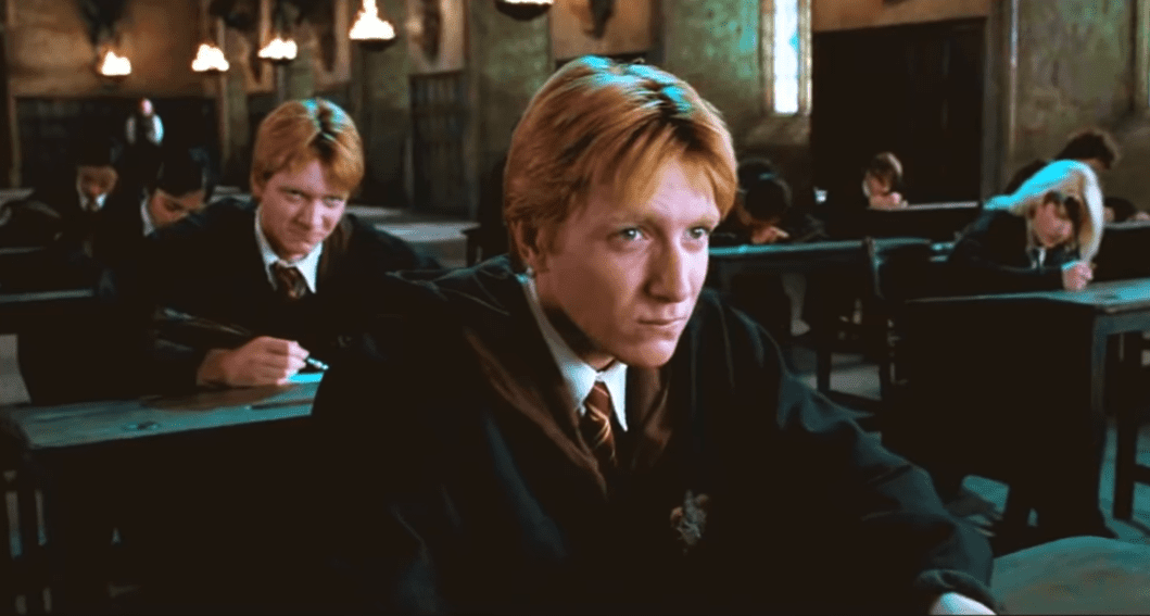 Wizarding families facts