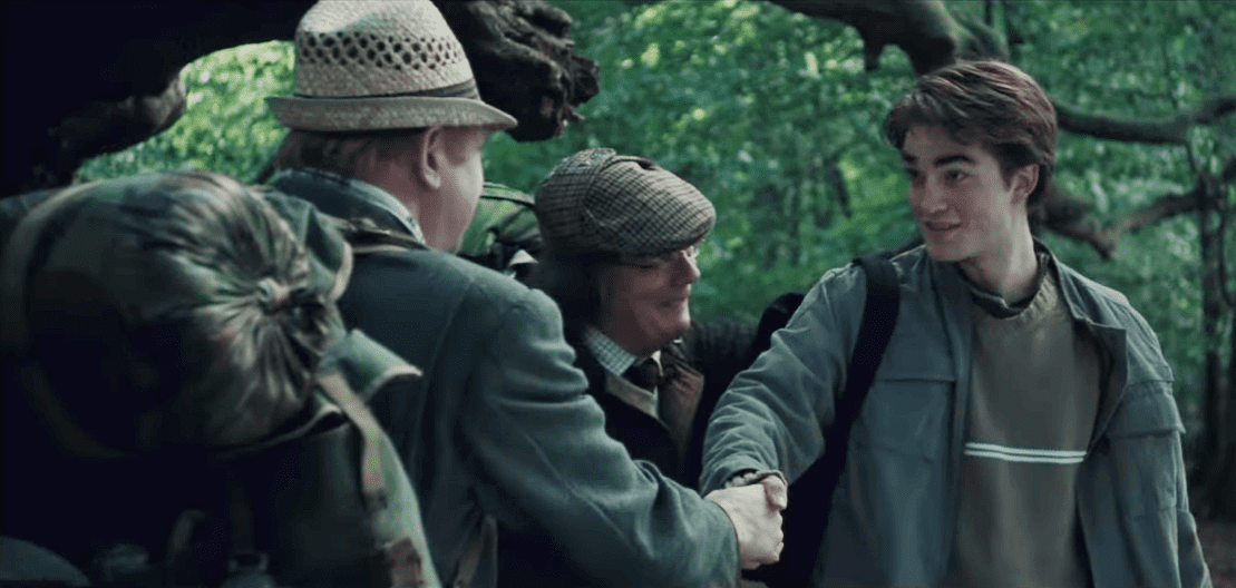 Wizarding families facts