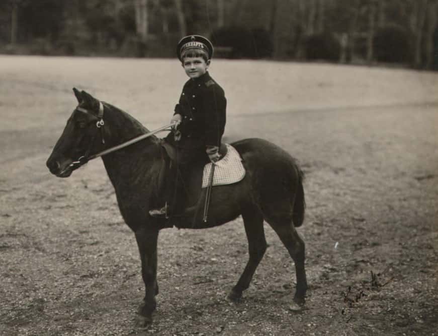 Alexei Romanov facts