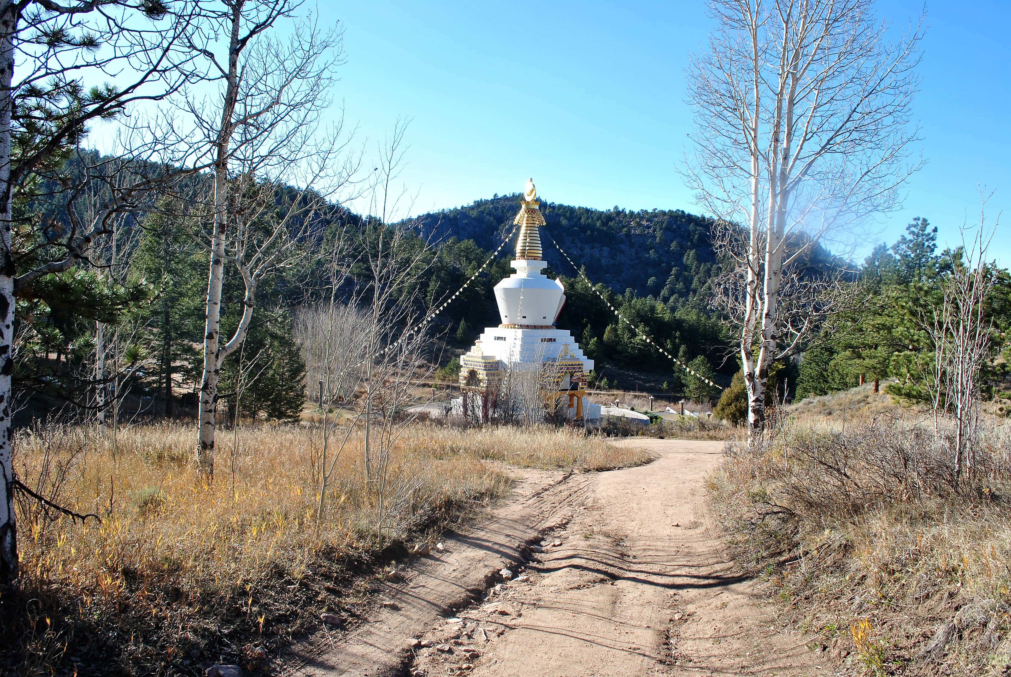 Allen Ginsberg facts