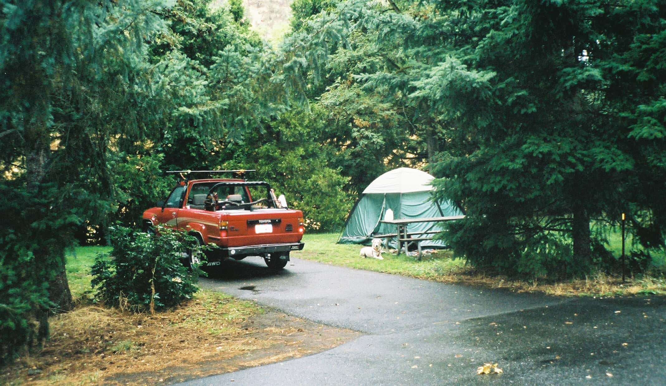 On The Road At Night Facts