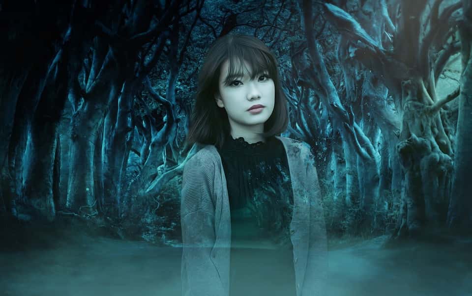 On The Road At Night Facts