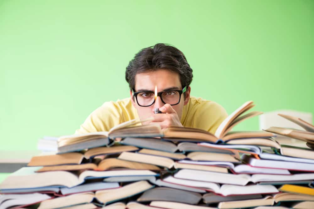 Craziest Excuses facts