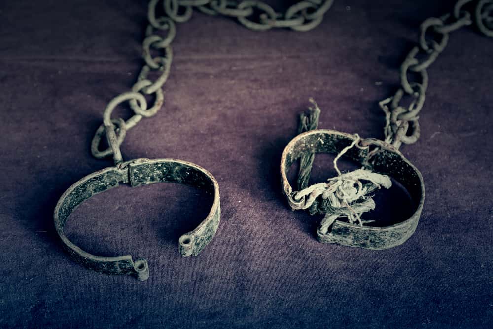 Richard Neville facts