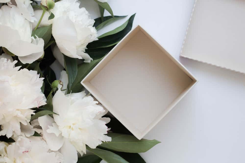 Ruined Wedding facts