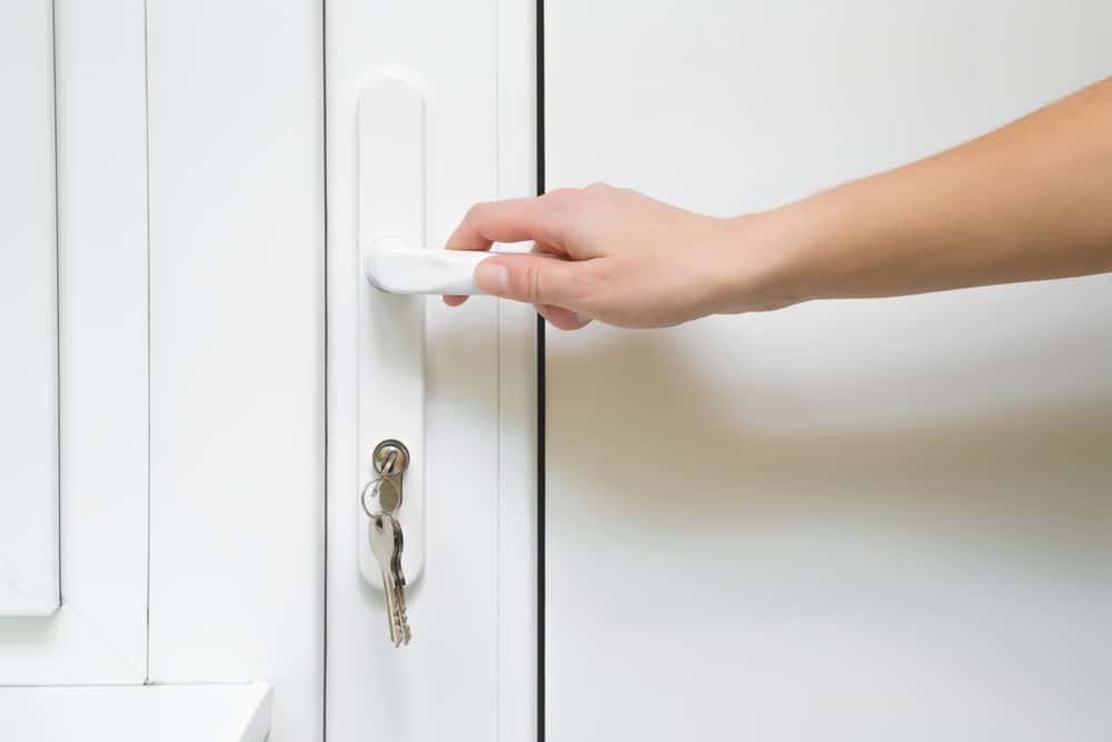 Craziest Excuses facts