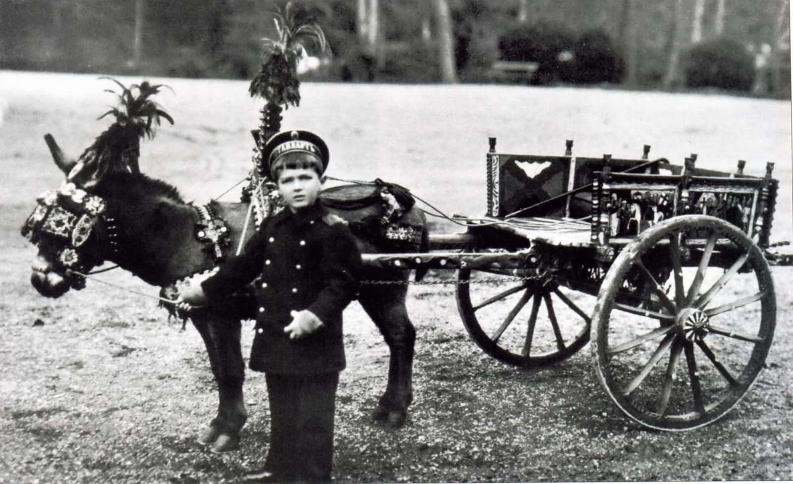 Alexei Romanov Facts