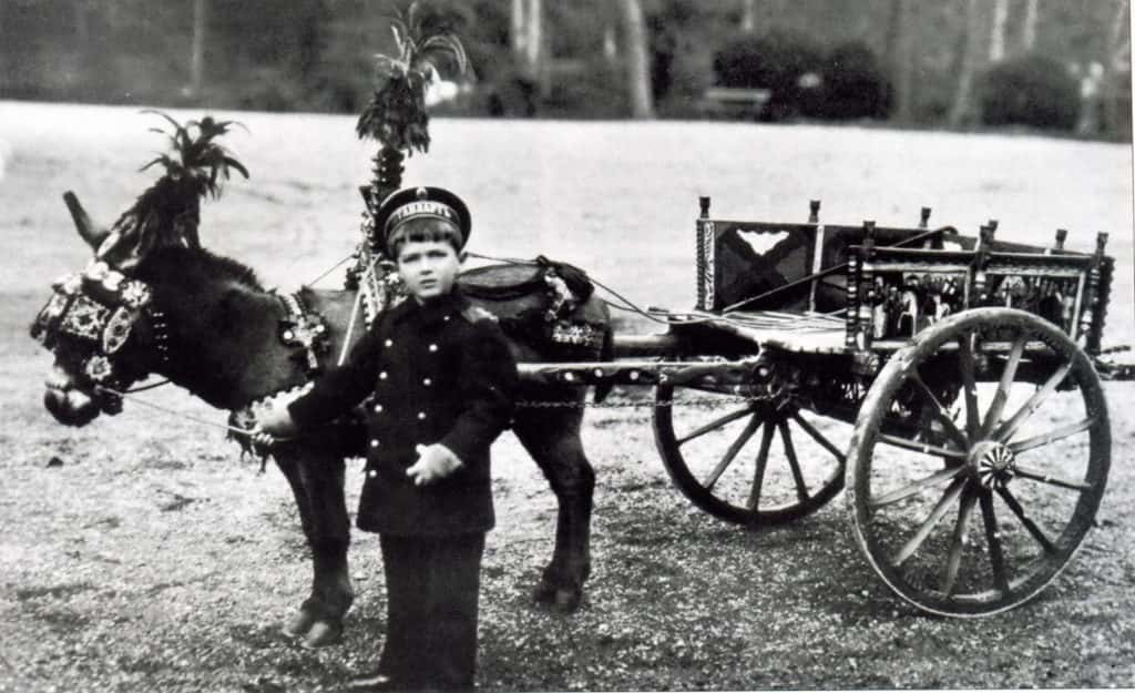 Alexei Romanov facts