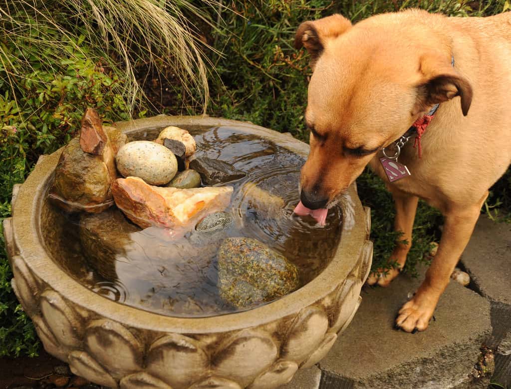 The Weirdest Wills Facts