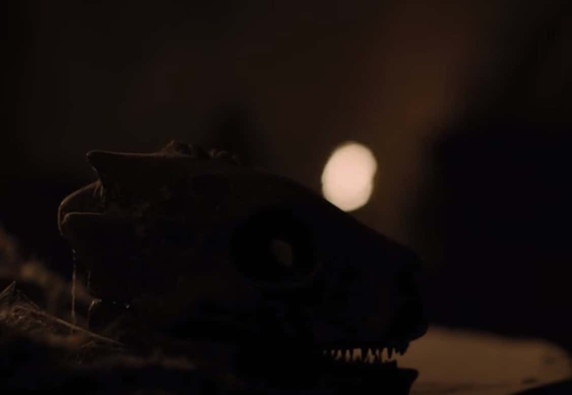 Aegon The Conqueror fac