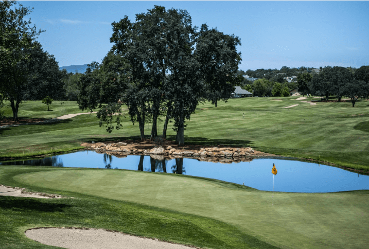 The Weirdest Wills Facts