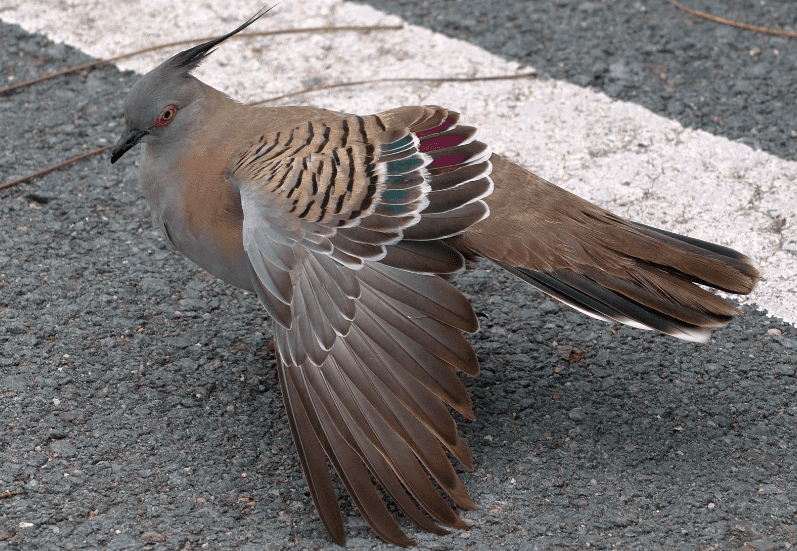 Things Witnessed On A Flight Facts