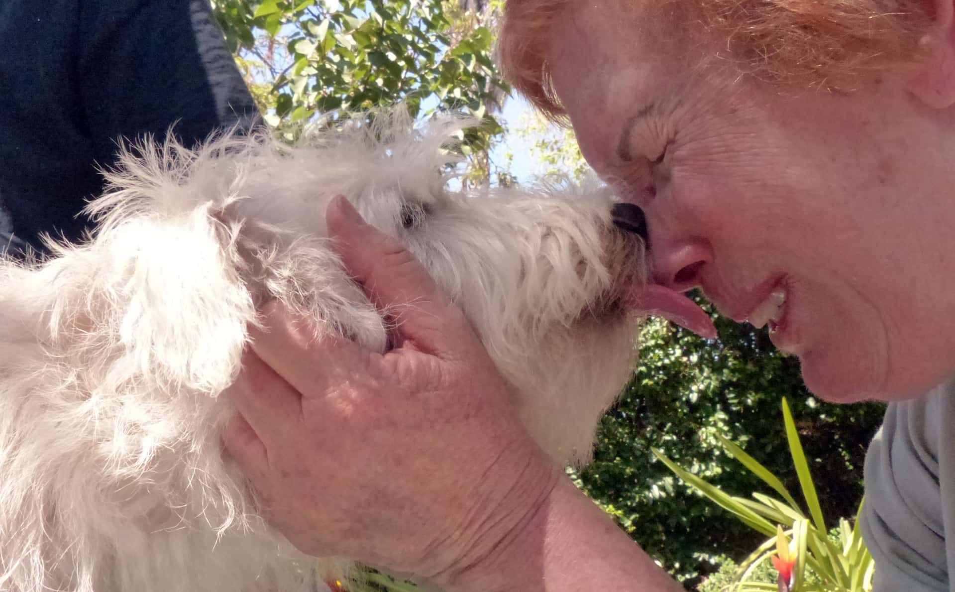 The Weirdest Wills Facts