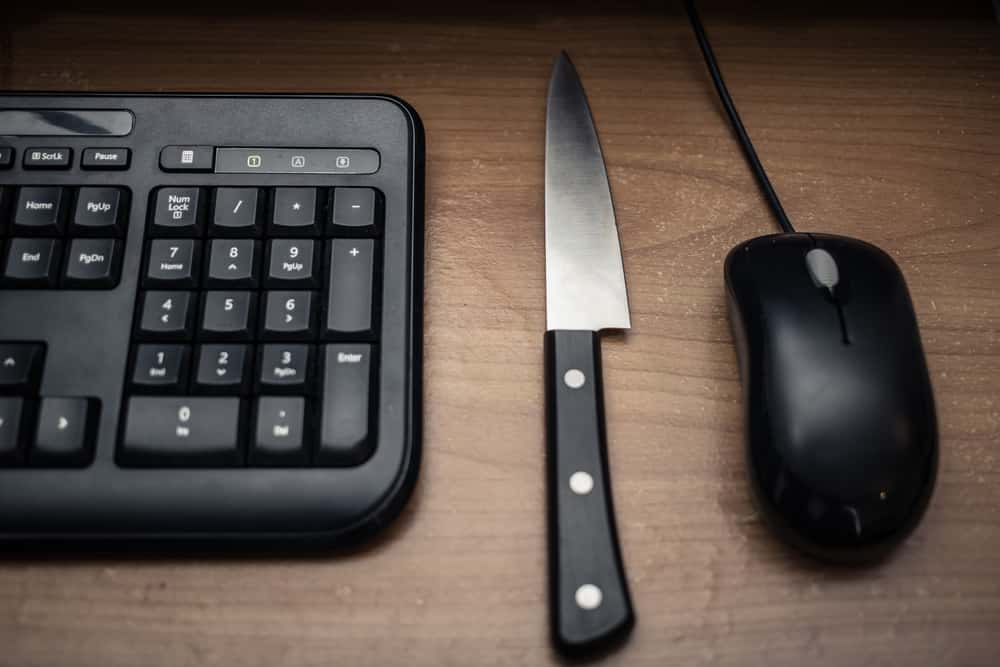 The Early Internet Facts