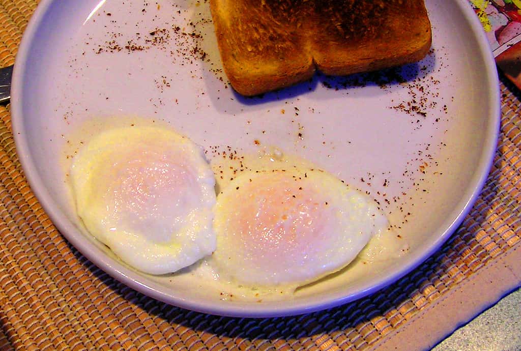 King Francis I Facts