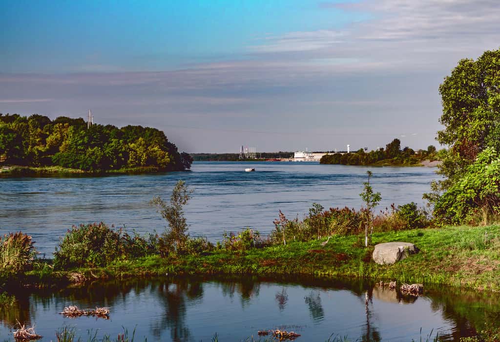 King Francis I Facts