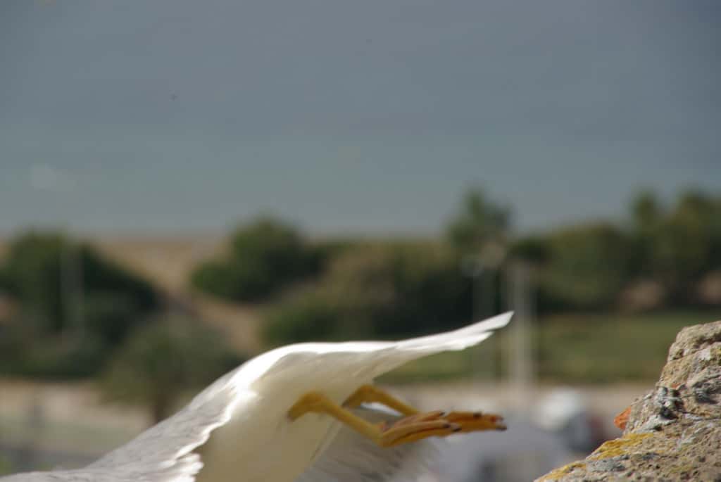 Strangest Things That No One Believes They’ve Really Experienced Facts