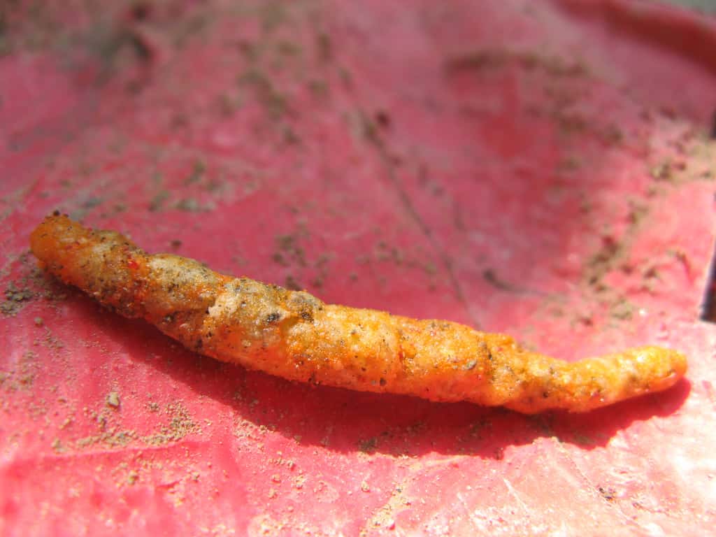 People Share The Weirdest Things They’ve Encountered In Other People’s Homes Facts