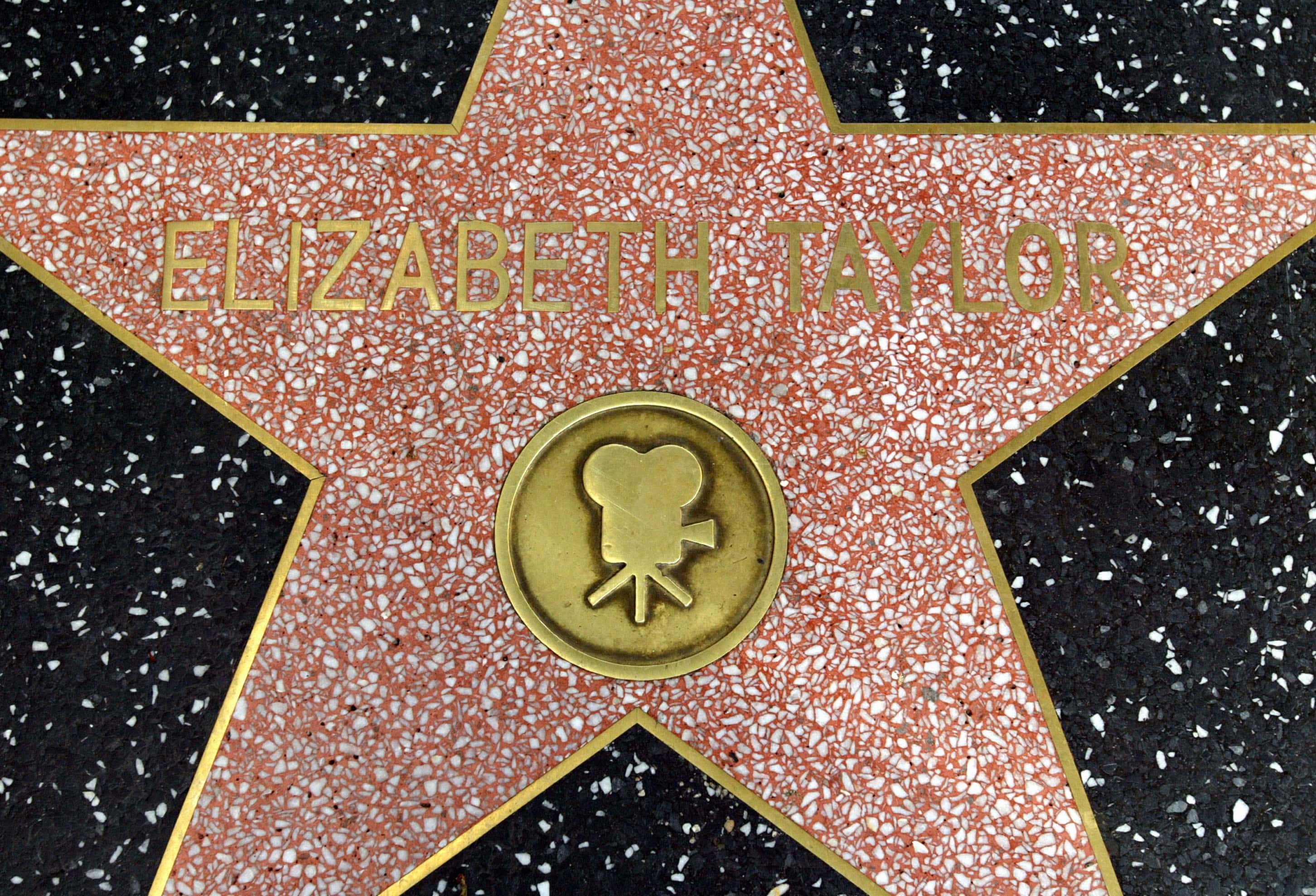 Elizabeth Taylor Facts