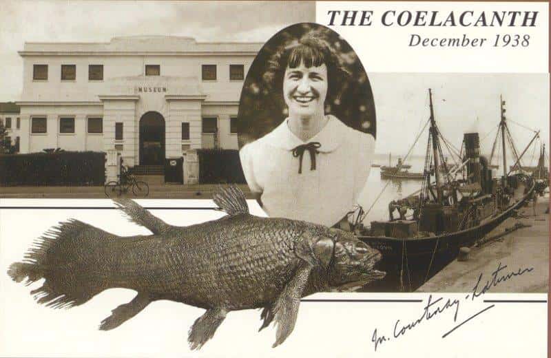 Coelacanth editorial