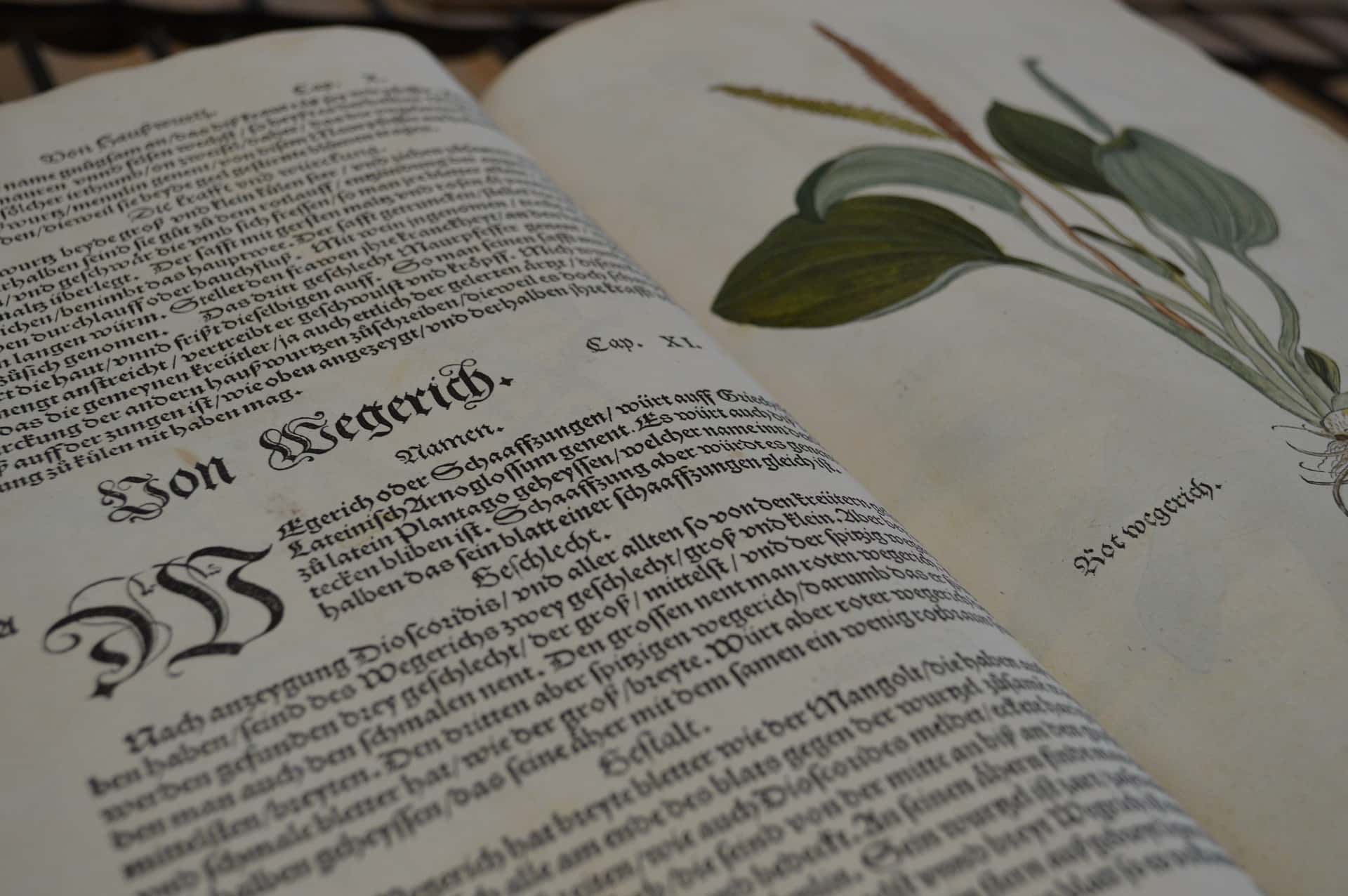 Grace O’Malley Facts