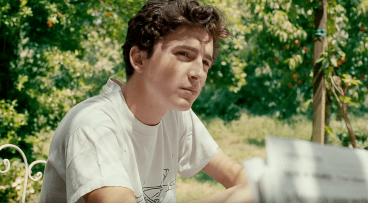 Timothée Chalamet facts