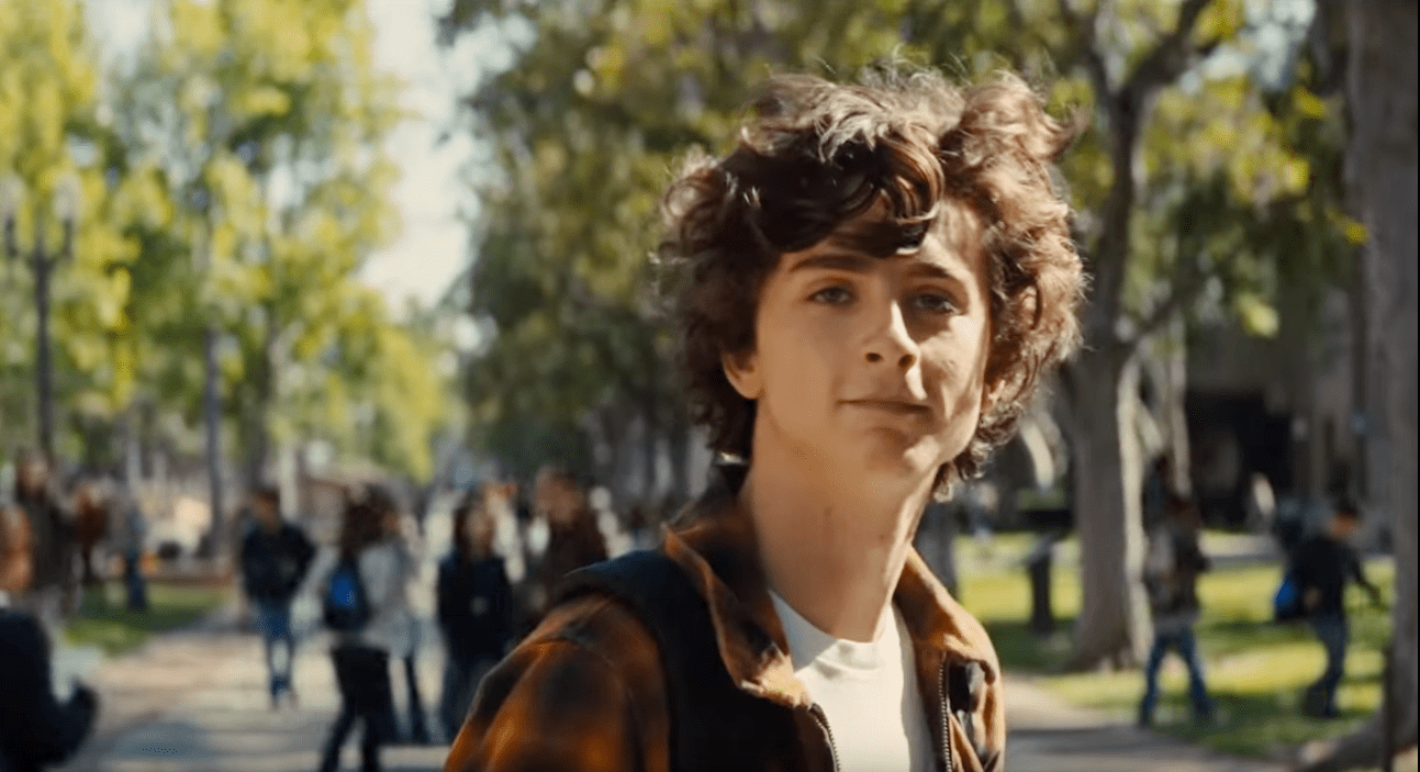 Timothée Chalamet facts