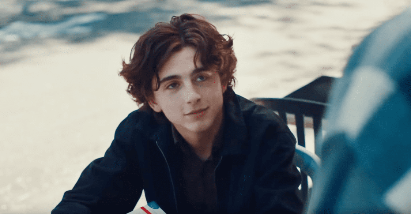 Timothée Chalamet facts