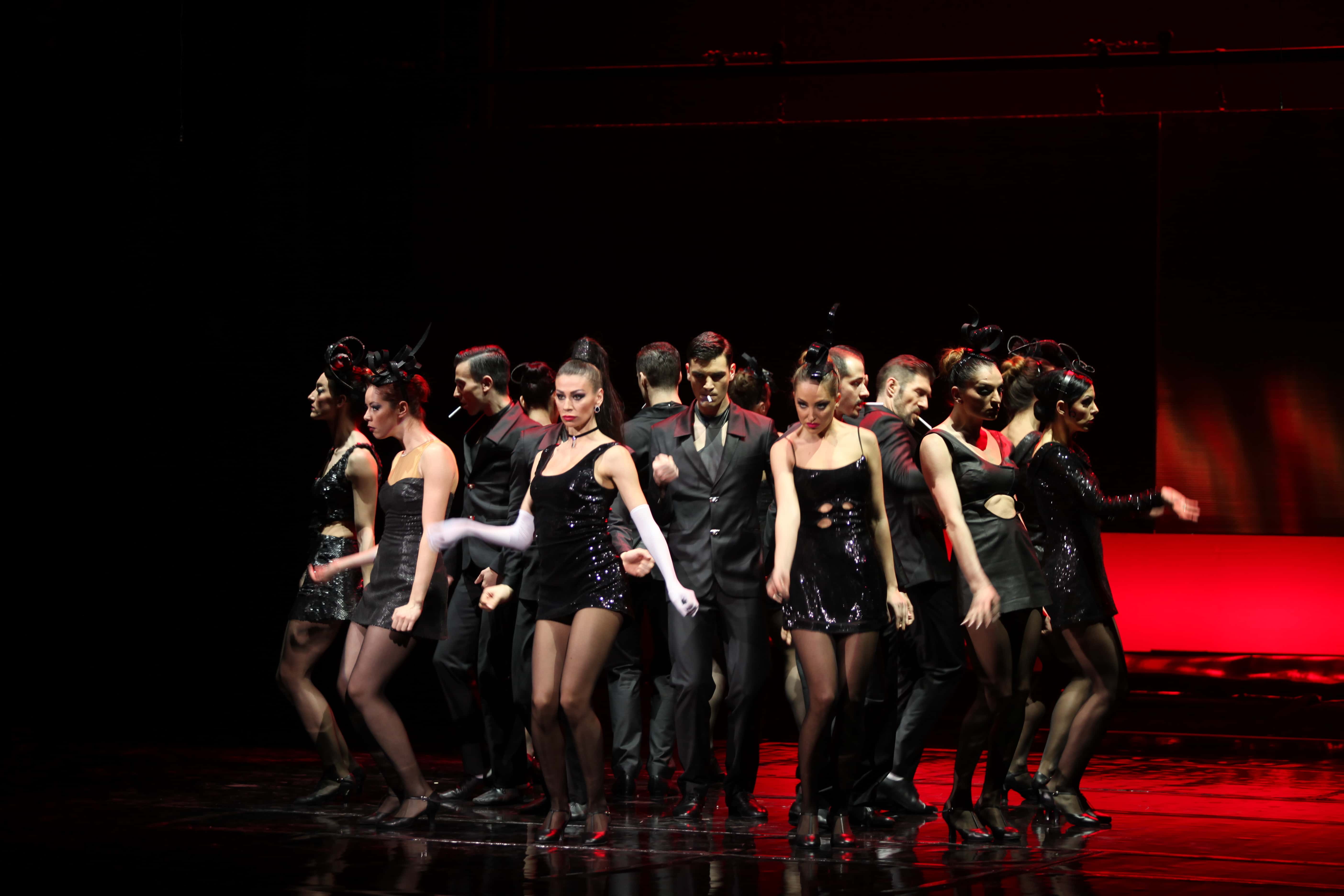 Timothée Chalamet facts