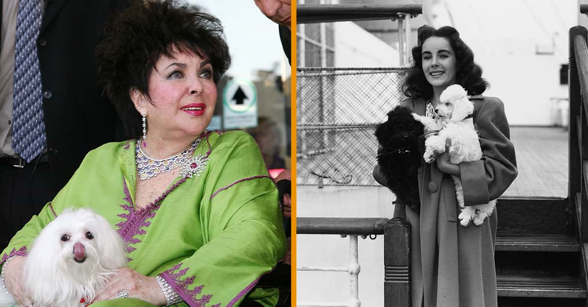 Elizabeth Taylor Facts