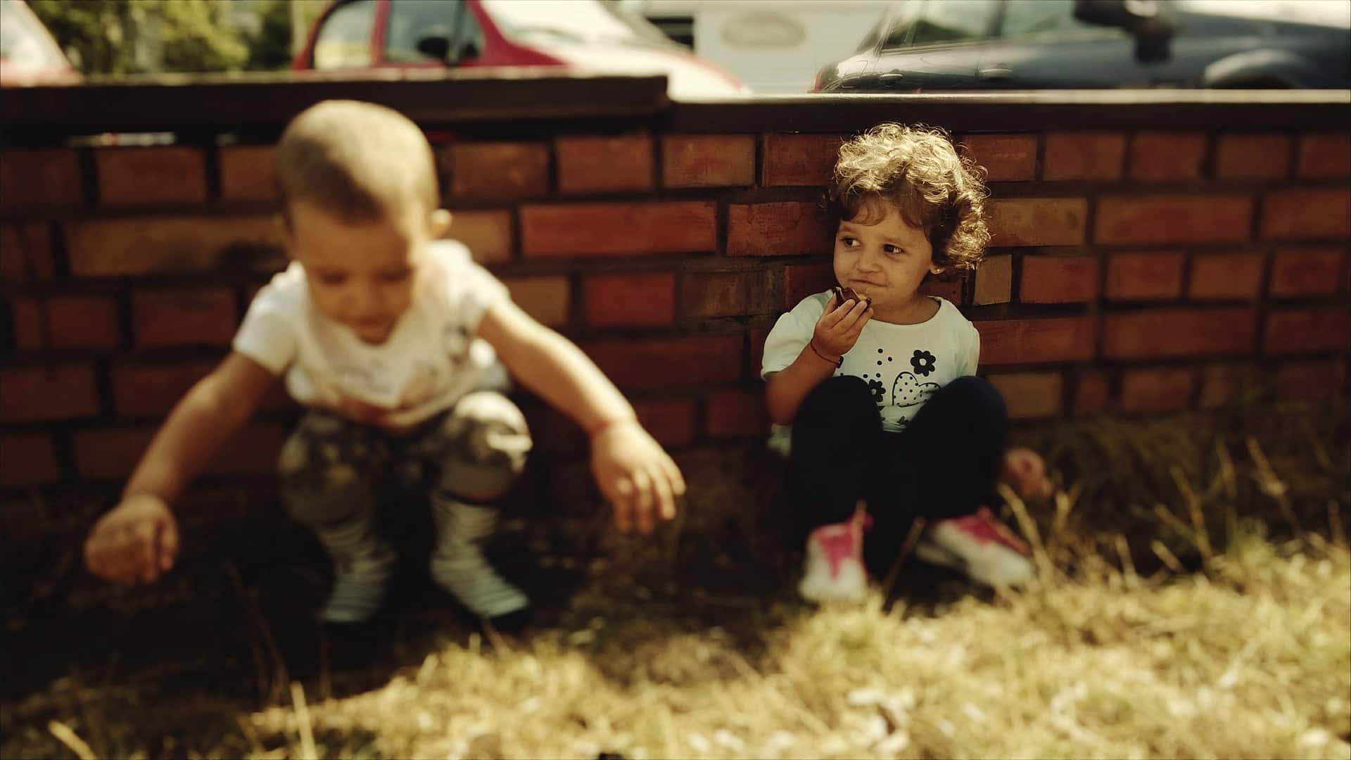 Embarrassing Things Toddlers Have Said facts