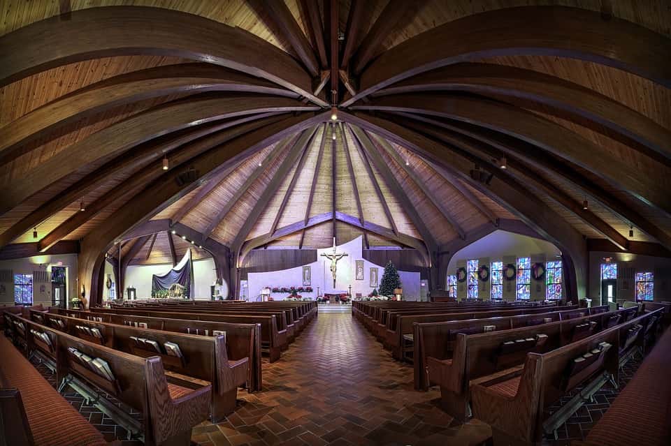 Elizabeth of York Facts