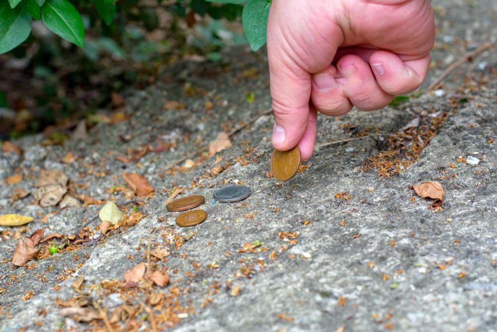 Acts of Generosity Facts