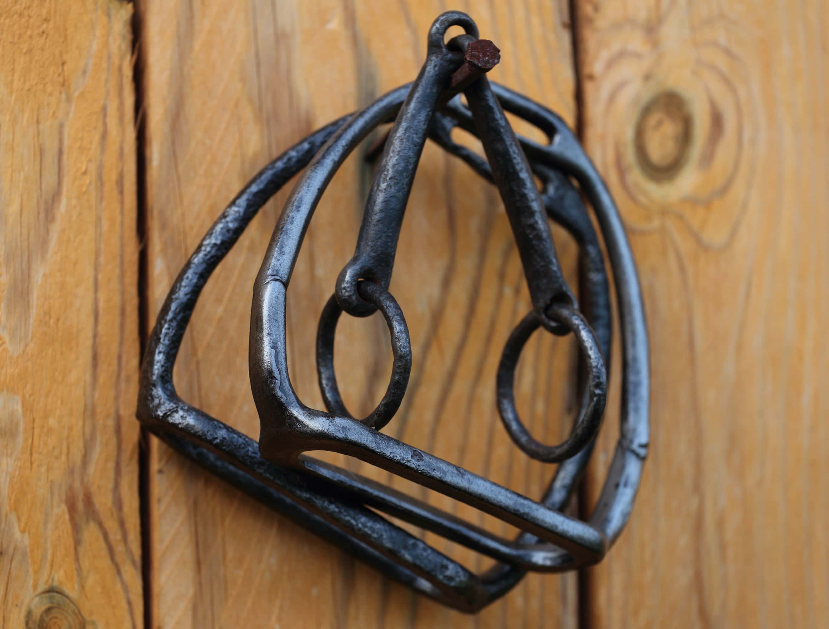 Margaret Tudor Facts