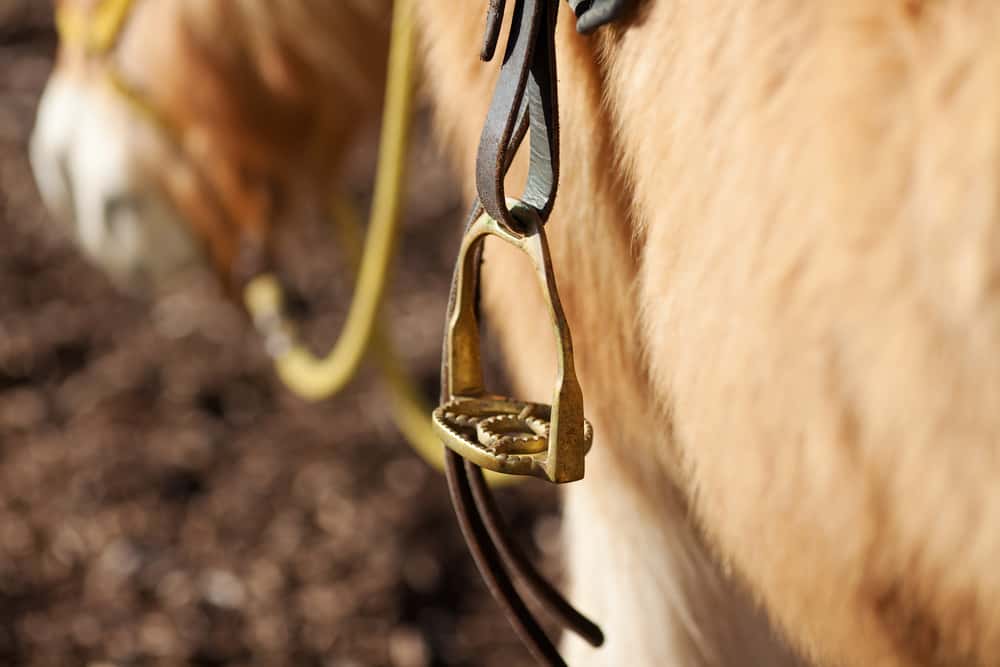 Margaret Tudor Facts