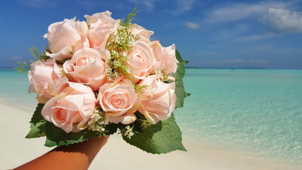 Shortest-Lived Marriages Facts