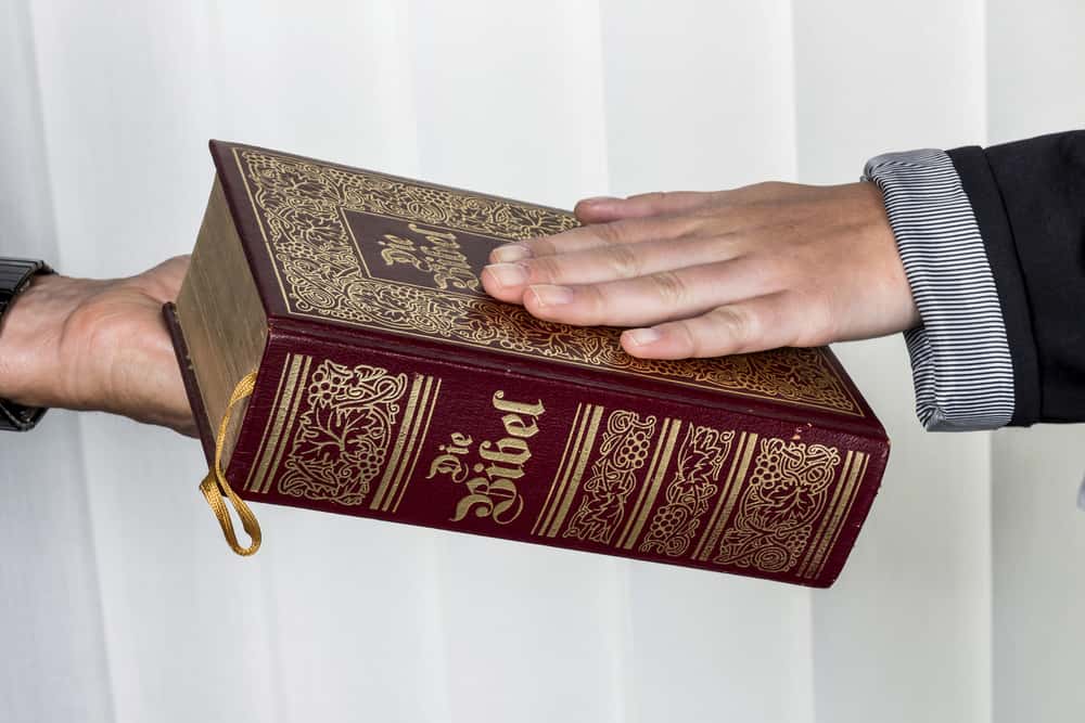 Elizabeth of York Facts