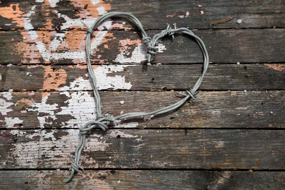 Grace O’Malley Facts