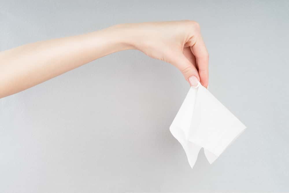 Grace O’Malley Facts