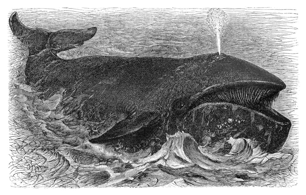 What Causes Hiccups Editorial